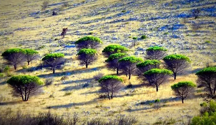 Nera Appartement Sali