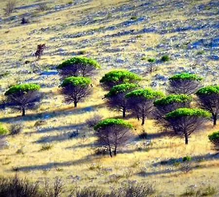 Nera Apartamento Sali